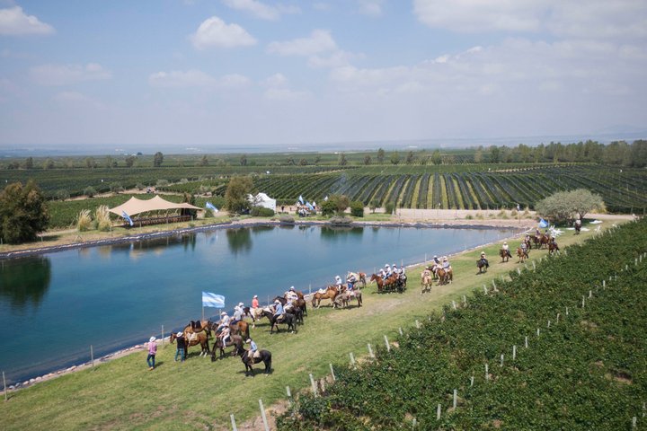 Experiencia de Vinos en Mendoza Medio Día en Maipú y Luján