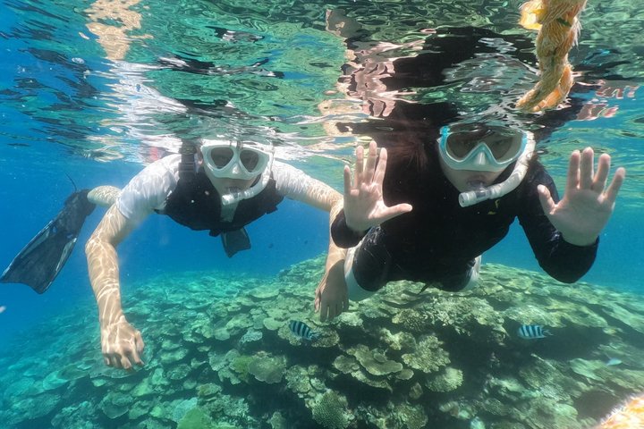 Okinawa: 2 runder snorkling i båd ved Minna, Sesoko eller Motobu