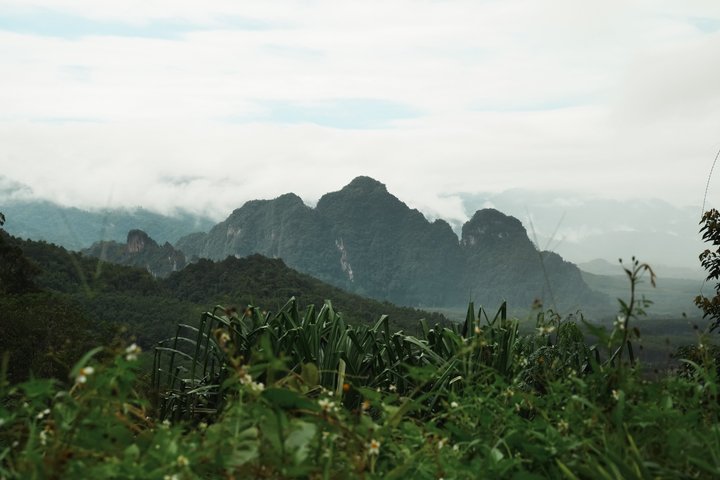Da Khao Lak: lago Cheow Lan e piscina smeraldo di Nam Rad