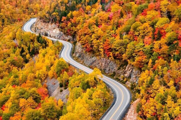 Cabot Trail : Excursion à Green Cove depuis le port de Sydney Cape breton