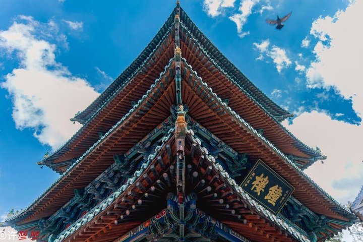Luoyang privat dagstur till Longmen Grottoes och Shaolin tempel