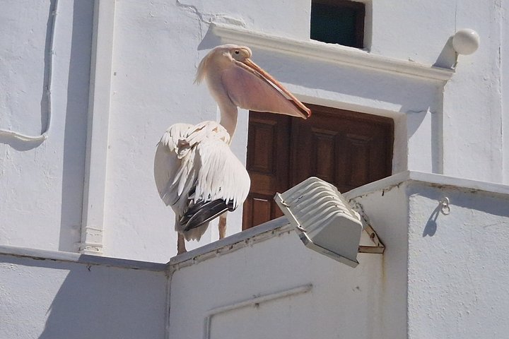 Tinos Strände Segelkreuzfahrt mit Führung