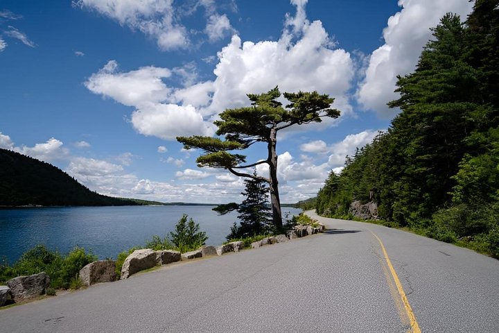 Privétour van 4 uur door Acadia Cadillac Mountain & Somes Sound Fiord
