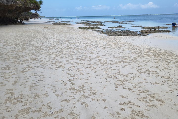 Privat tur Mnemba Dolphin med see food frokost & Kendwa Beach