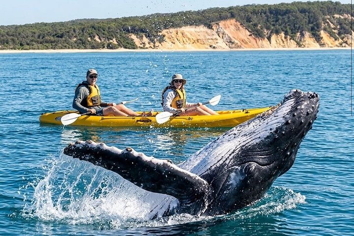 Rainbow Beach : Paseo en kayak por el océano y playa 4X4