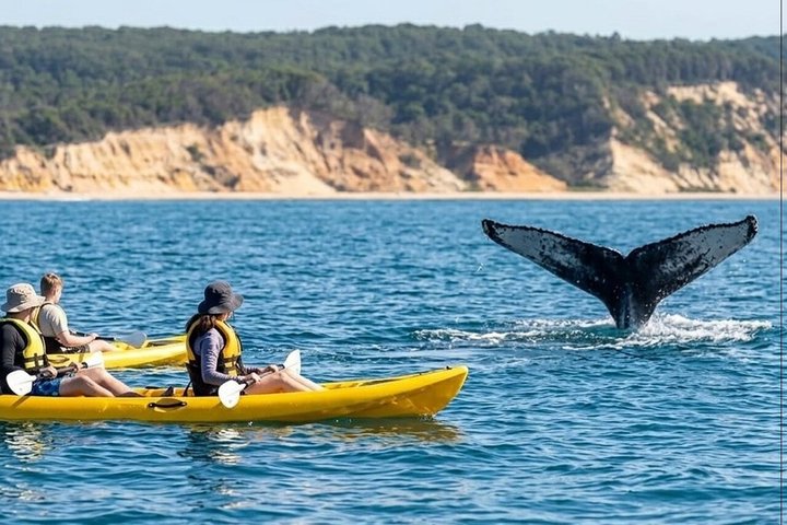 Rainbow Beach : Paseo en kayak por el océano y playa 4X4