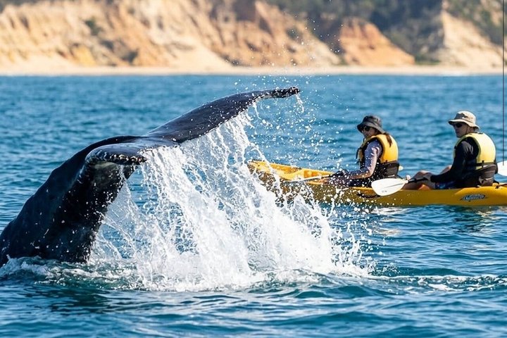Rainbow Beach : Paseo en kayak por el océano y playa 4X4