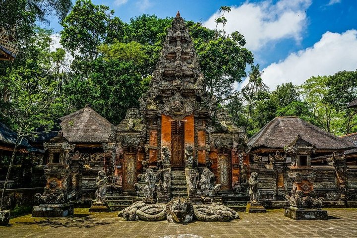 Ubud Private Tour Rice Terraces Temples Waterfalls.