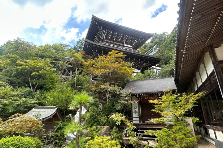 Hiroshima et Miyajima : excursion d'une journée en petit groupe sur 2 sites de l'UNESCO