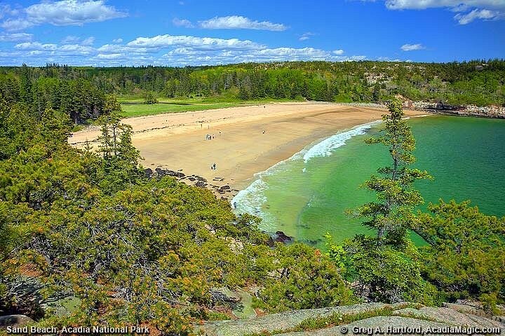 Tour privado de 3 horas por lo mejor de Acadia : Cadillac & Park Loop Road