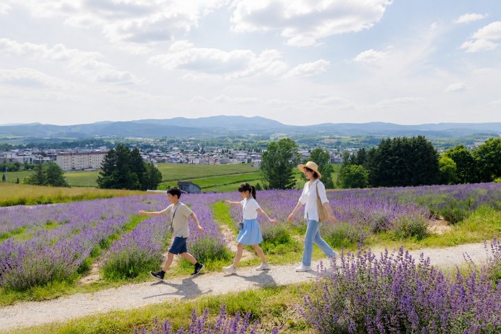 Tour privé de 3 jours : Sapporo, Furano et le lac Shikotsu