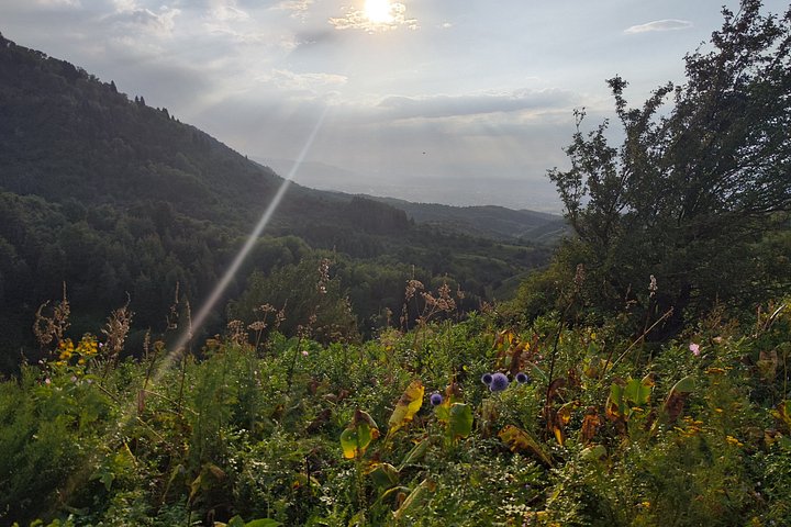 Experiência panorâmica de equitação em Ile-Alatau National Park