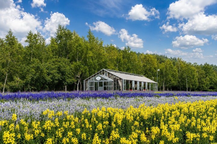 Tour privé de 3 jours : Sapporo, Furano et le lac Shikotsu