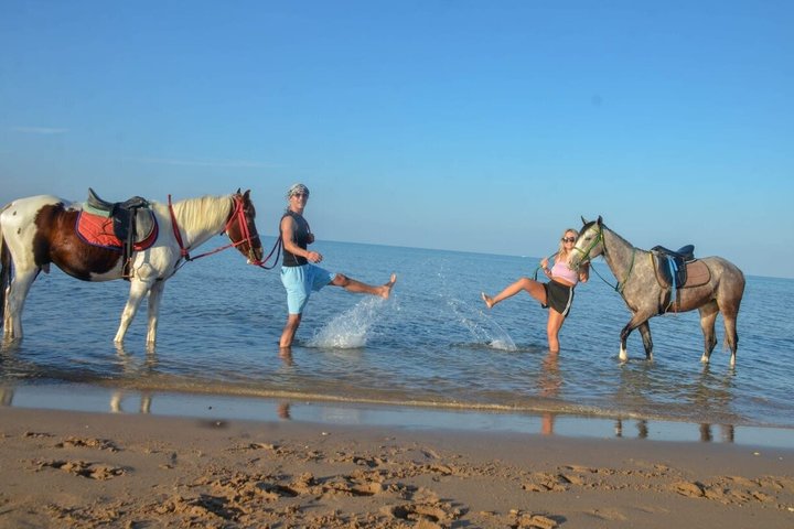 Équitation Nabq Bay Beach, lever du soleil et coucher du soleil-Sharm El Sheikh