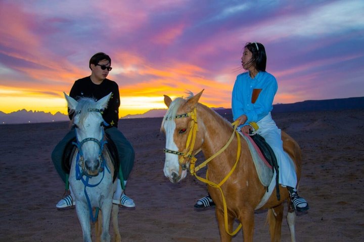 Équitation Nabq Bay Beach, lever du soleil et coucher du soleil-Sharm El Sheikh