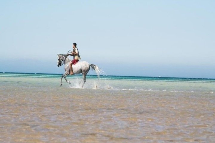 Équitation Nabq Bay Beach, lever du soleil et coucher du soleil-Sharm El Sheikh