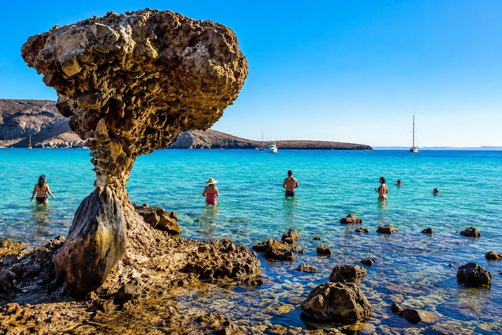 Isla Espíritu Santo, Balandra y Leones Marinos Todo Incluido