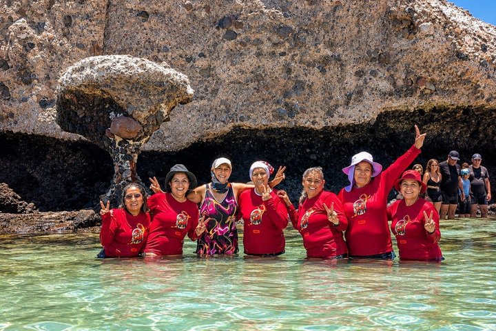 Isla Espíritu Santo, Balandra y Leones Marinos Todo Incluido