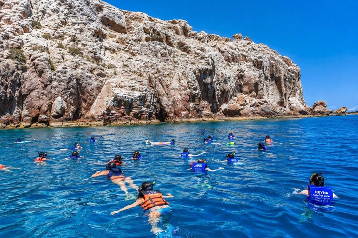 Isla Espíritu Santo, Balandra y Leones Marinos Todo Incluido