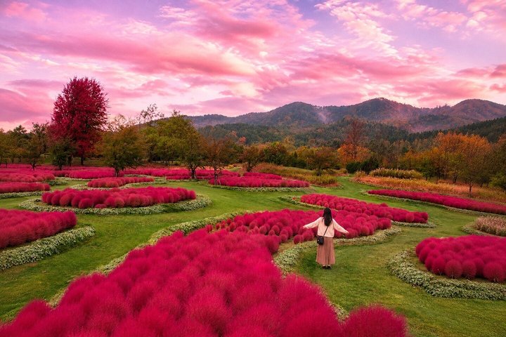 Tour privé de 3 jours : Sapporo, Furano et le lac Shikotsu