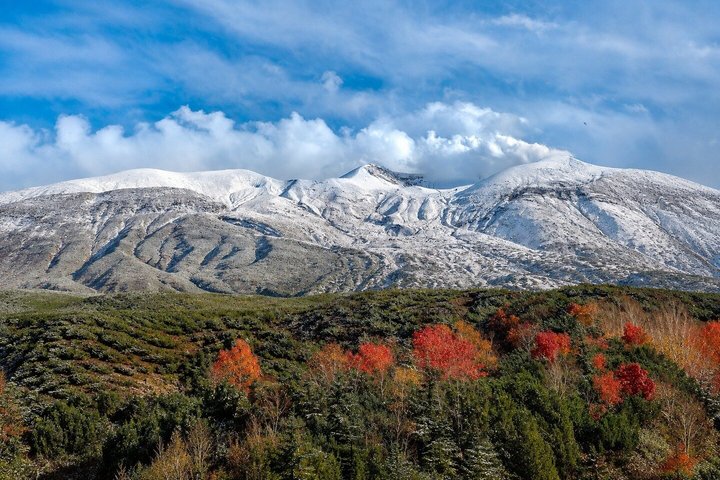 Tour privé de 3 jours : Sapporo, Furano et le lac Shikotsu