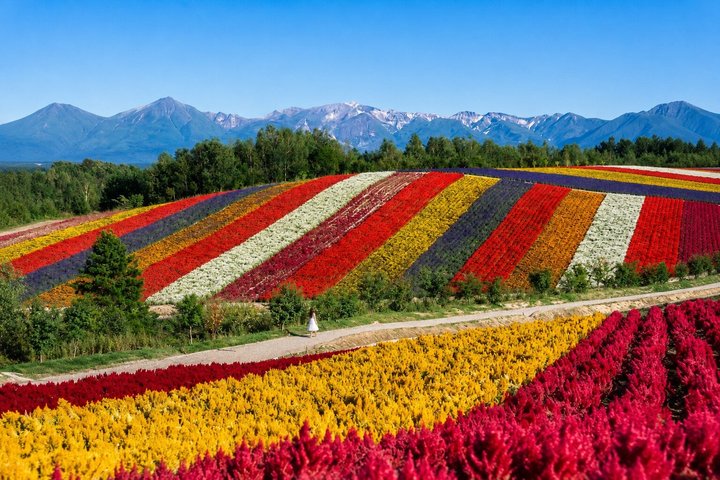 Tour privé de 3 jours : Sapporo, Furano et le lac Shikotsu