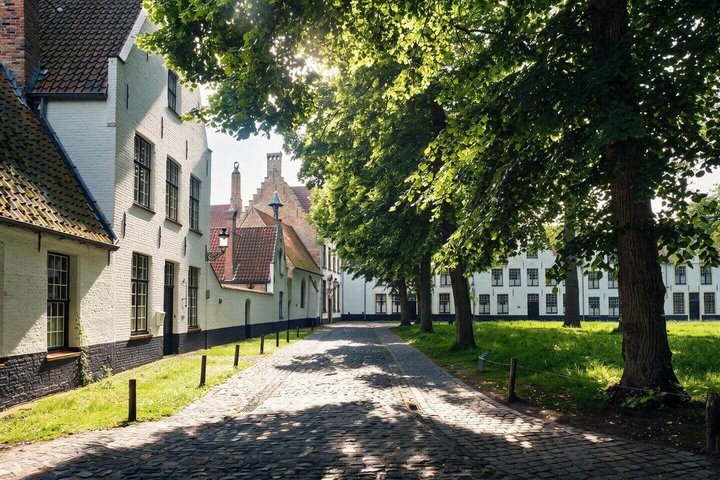 Hello Mechelen : Private 2 - Passeggiata introduttiva di 2 ore con Guida Locale