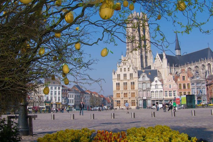 Hello Mechelen : Private 2 - Passeggiata introduttiva di 2 ore con Guida Locale