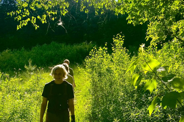 Privat guidet Berkshire Mountains vandretur med naturskøn udsigt