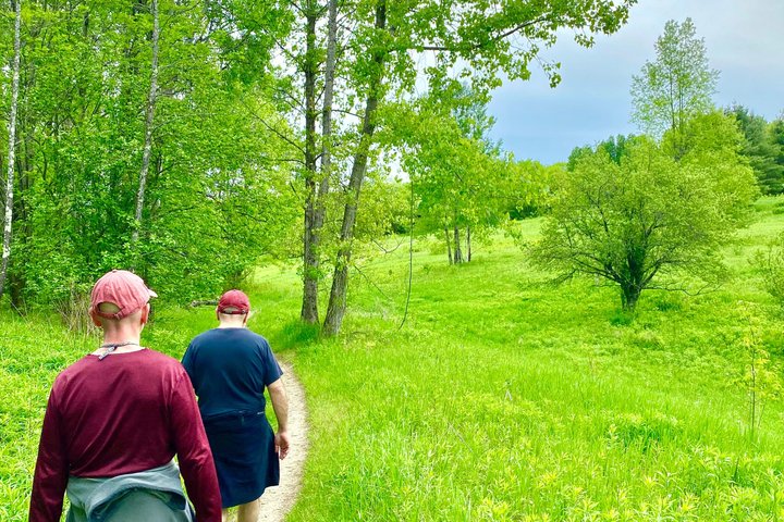 Privat guidet Berkshire Mountains vandretur med naturskøn udsigt