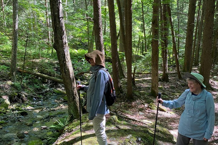 Privat guidet Berkshire Mountains vandretur med naturskøn udsigt