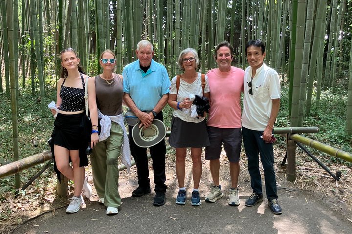 Hele dagtour door Kyoto met privévervoer