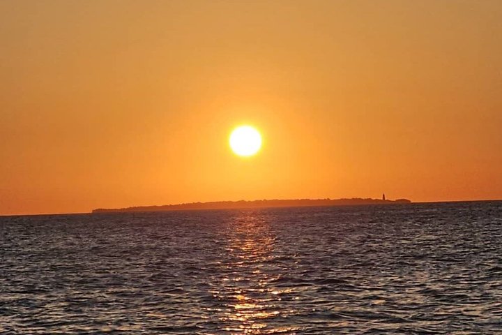 Privat tur Mnemba Dolphin med see food frokost & Kendwa Beach