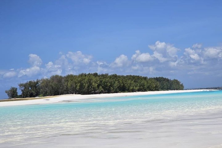 Privat tur Mnemba Dolphin med see food frokost & Kendwa Beach