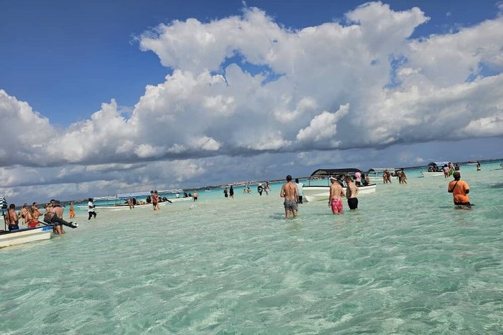 Privat tur Mnemba Dolphin med see food frokost & Kendwa Beach