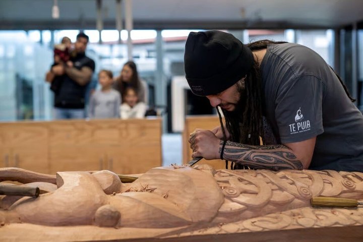 Fra Hamilton: Waitomo Caves og Te Puia Tour med picnic frokost
