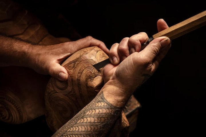 Fra Hamilton: Waitomo Caves og Te Puia Tour med picnic frokost