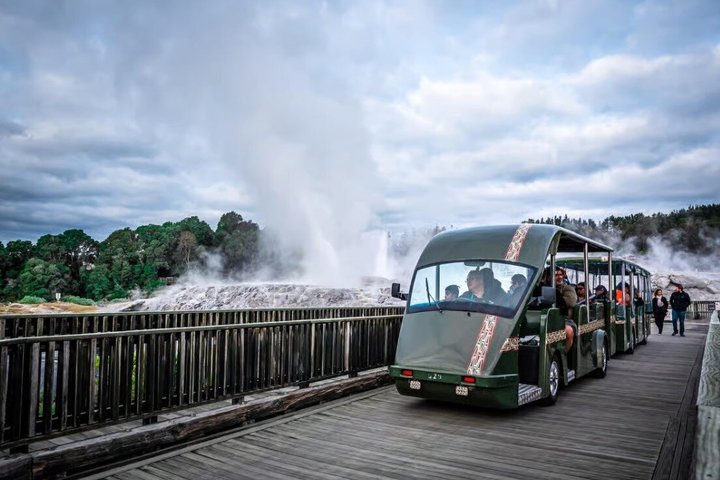Fra Hamilton: Waitomo Caves og Te Puia Tour med picnic frokost