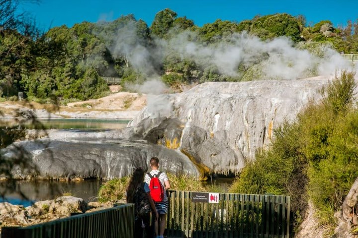 Fra Hamilton: Waitomo Caves og Te Puia Tour med picnic frokost