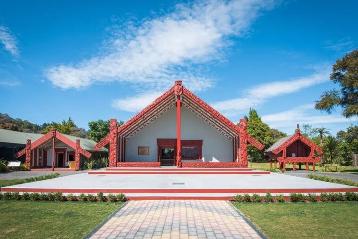 Fra Hamilton: Waitomo Caves og Te Puia Tour med picnic frokost