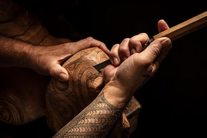 Fra Hamilton: Waitomo Caves og Te Puia Tour med picnic frokost