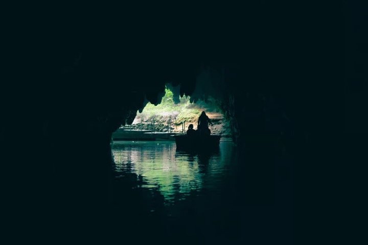 Fra Hamilton: Waitomo Caves og Te Puia Tour med picnic frokost