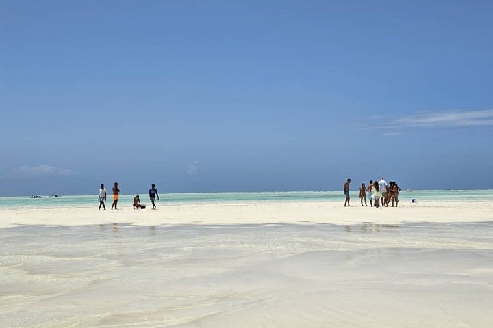 Privat tur Mnemba Dolphin med see food frokost & Kendwa Beach
