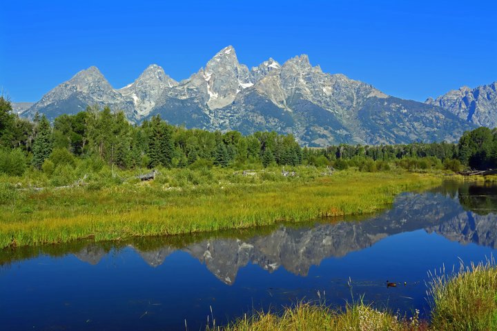 Forfait de visites en voiture autoguidées à Grand Teton et Yellowstone