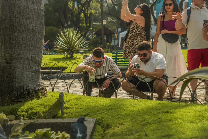 Guayaquil Layover Sightseeing Tour med Round-Trip Airport Transport