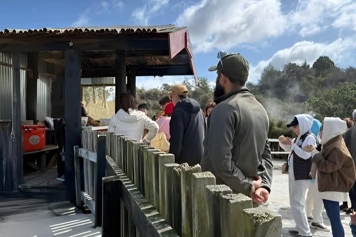 Desde Hamilton Almuerzo en el pueblo maorí y cuevas Waitomo