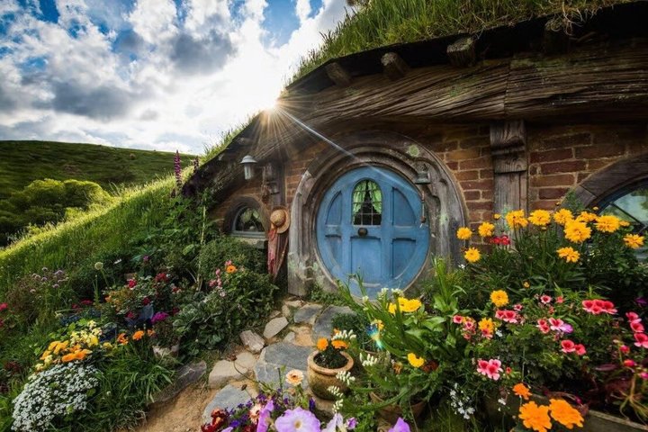 Tour per piccoli gruppi del set cinematografico di Hamilton Hobbiton