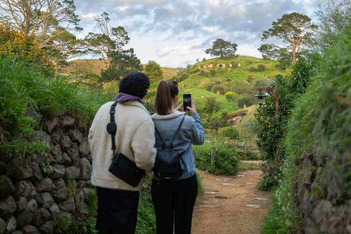 Tour per piccoli gruppi del set cinematografico di Hamilton Hobbiton