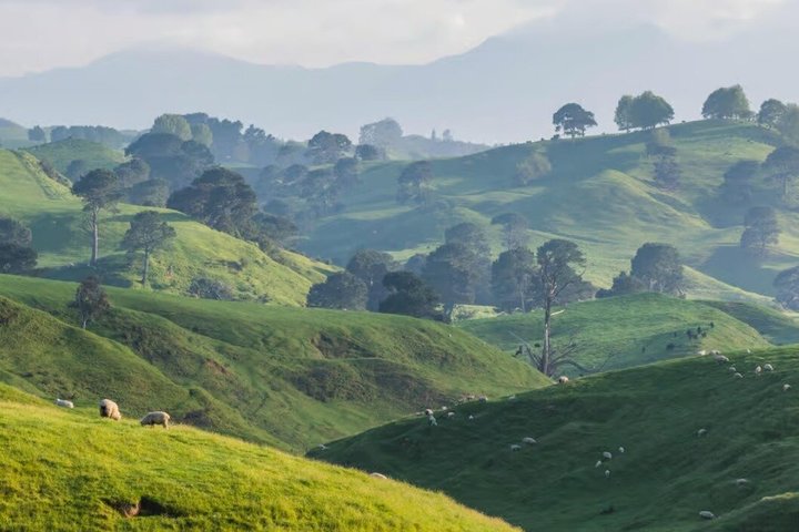 Tour per piccoli gruppi del set cinematografico di Hamilton Hobbiton