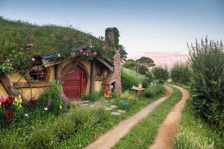Tour per piccoli gruppi del set cinematografico di Hamilton Hobbiton